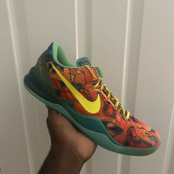 Kobe 8 Protro What The