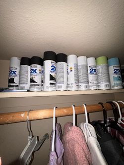 Spraypaint $2.00 Each BRAND NEW