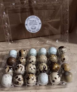 Organically raised fresh quail eggs, fed organic NON GMO feed , filtered water, grow lights and never medicated. 12 for $4 a dozen,$ 3 dozen for 10 do