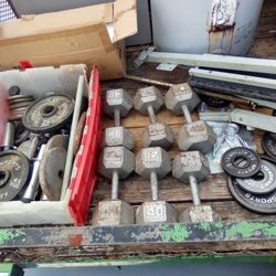 Over 350 Lbs Of Weights $200 for All 