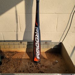 Prodigy Youth Baseball bat