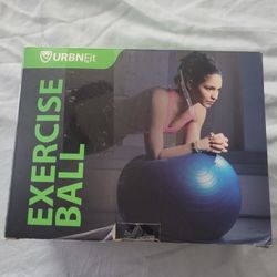 Brand New Excerise Ball With Pump $15 Pickup In Oakdale 