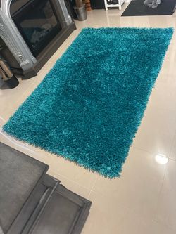 Like New 5x7 SHAG area RUG