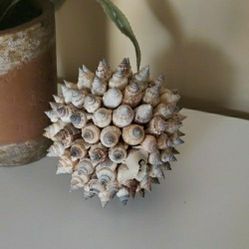 Decorative Seashell Ball Decor - 4.5" Sphere