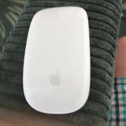 Apple Mouse