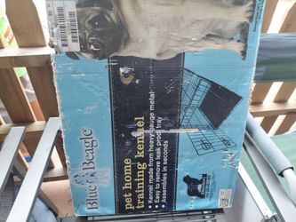 Gala para perrito