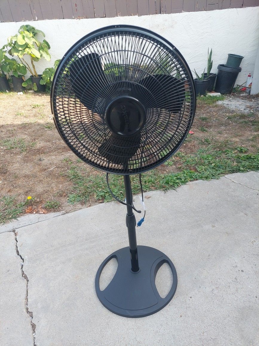 Black Lasko Fan