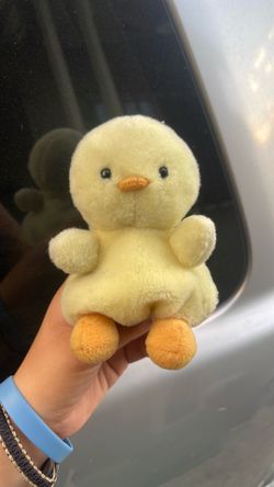 Duck plushie