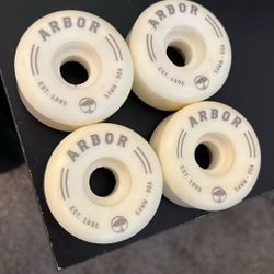 Skateboard Wheel’s 