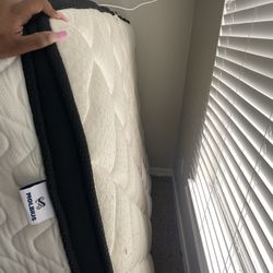 Full Size Mattress 