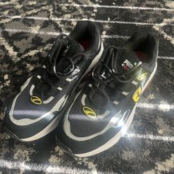 PUMA - Porsche Model 