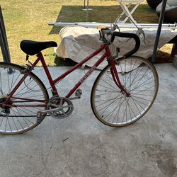 Schwinn World