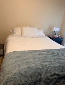 Tempur Pedic Pro Adapt