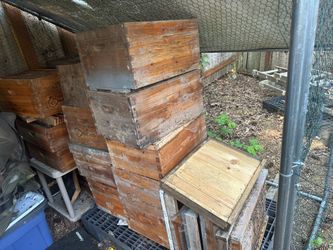 Bee Castle, bee box 8 frame style