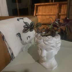 Small Head Planter With Plant 