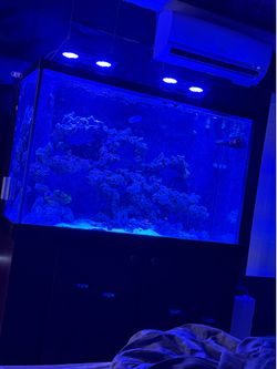 150 4ft tank