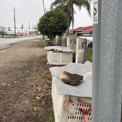 Walnut Fire Wood For Sale 