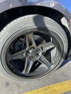 Demon Reps 20” 10.5