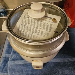 "Salton" Steamer -Rice & Veggies