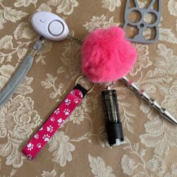 Safety Keychain