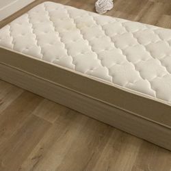 Twin Bed Box Spring Frame 