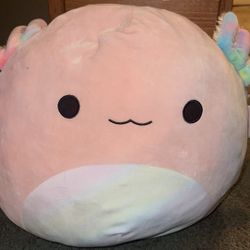 Squishmallow 