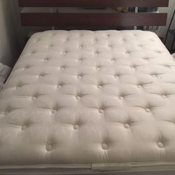 Queen Mattress 