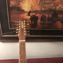 12 String Olympia Acoustic Guitar
