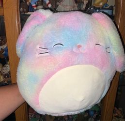 Good cond. 2 squishmallows.