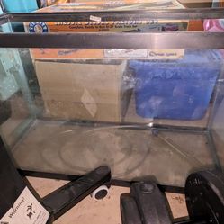 Fish Tank With Supplies 