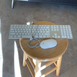 Apple Keyboard and Mouse