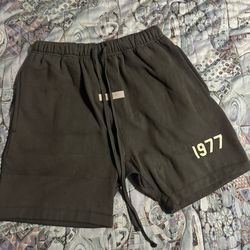 Essential 1977 Shorts