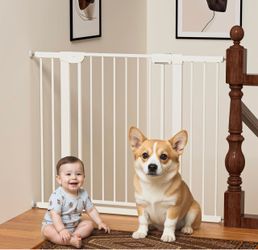 baby playpen