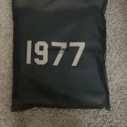 1977 Iron Essential Hoodie 