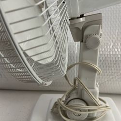 Table Oscillating Fan