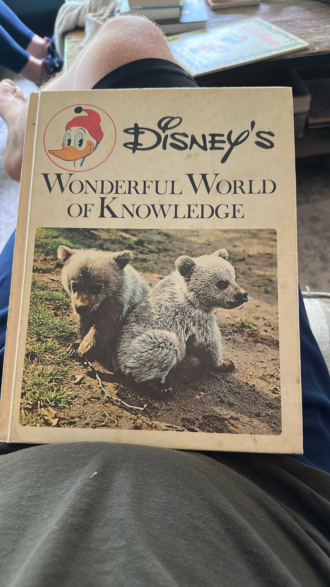 Disney’s Wonderful World Of Knowledge Book #1