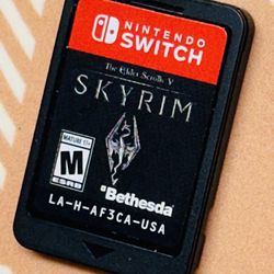 The Elder Scrolls V: Skyrim - Nintendo Switch Cartridge Only Tested