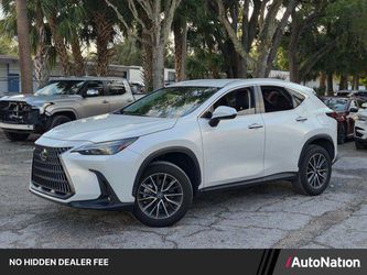 2024 Lexus NX 250