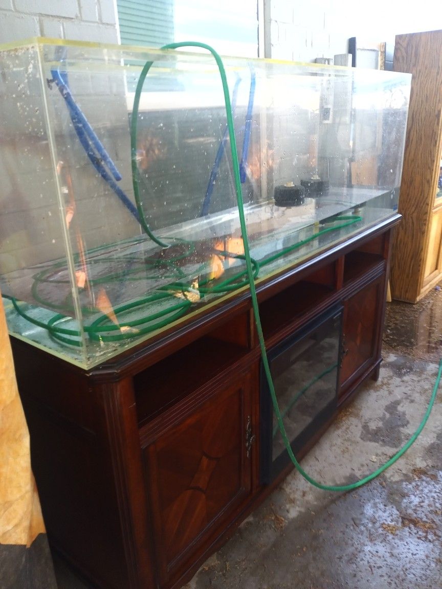 Multiple Fish Tank Aquarium Setups