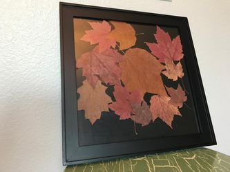 Framed Wall Art