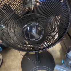 Black Fan 