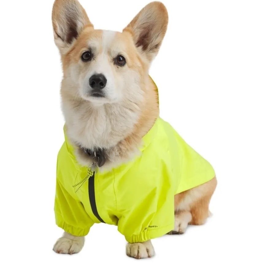 Petco rain jacket hot sale