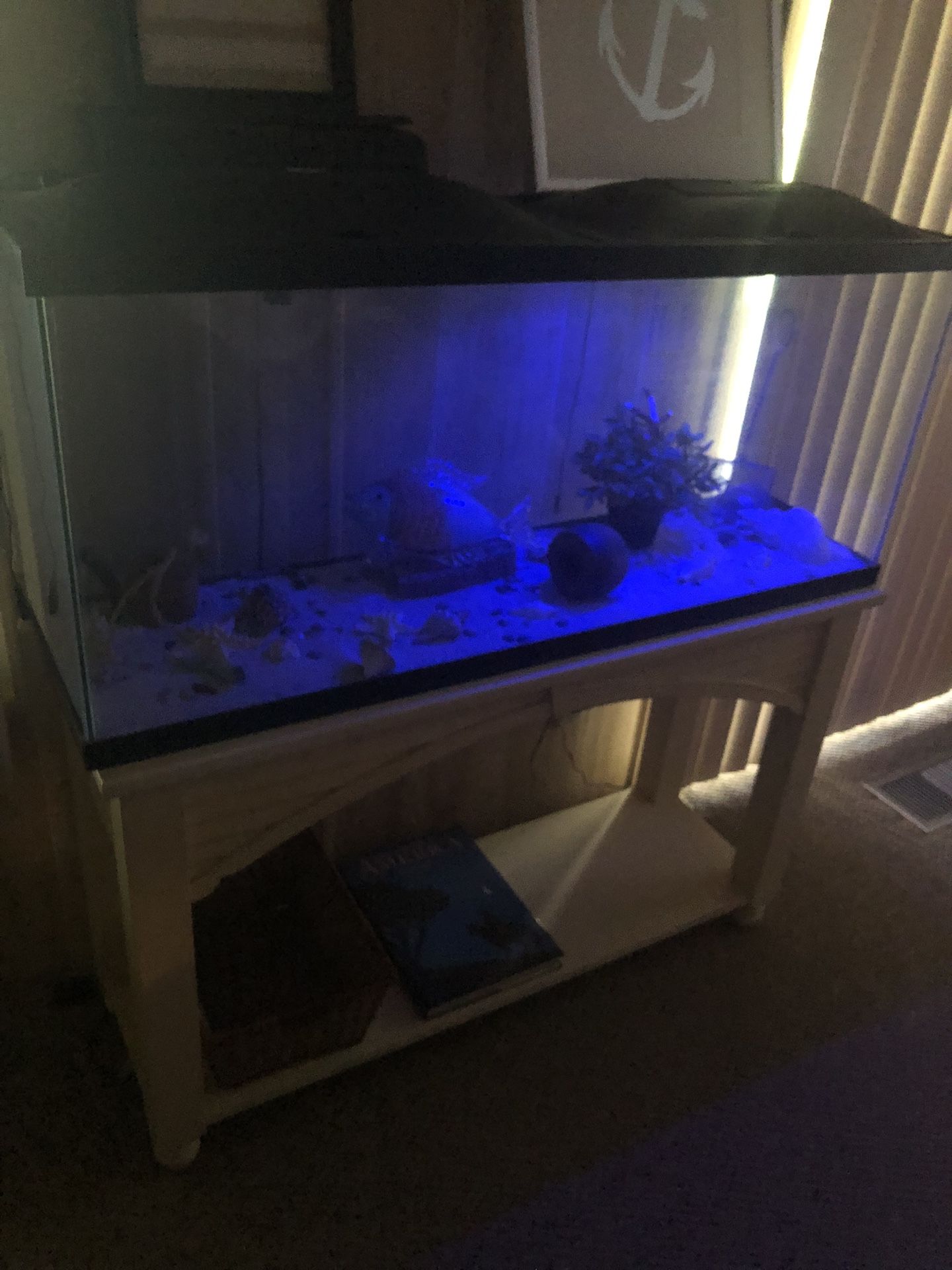 40 Gallon Aquarium With Lights And Filter Carriage