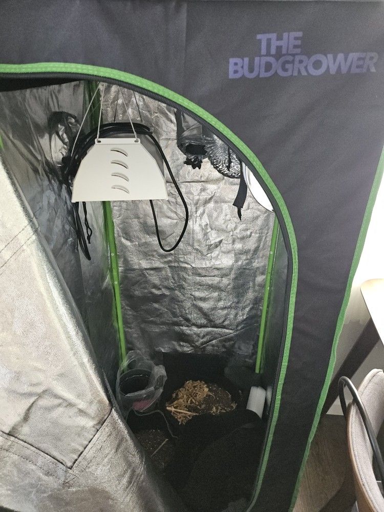 Indoor Plant Tent With Lot Of Equipments