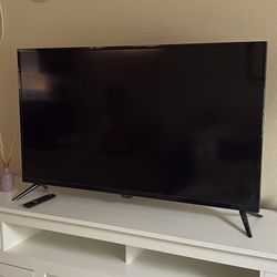43” Insignia TV