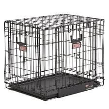 Kong XL dog Crate