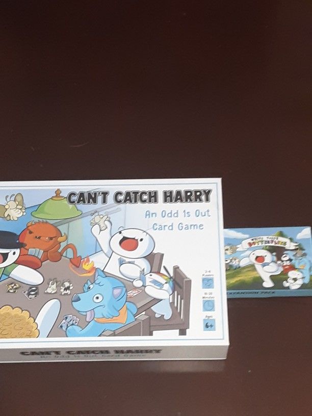 Cant Catch Harry Board Game