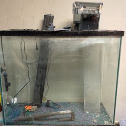 80 Gal Fish Tank
