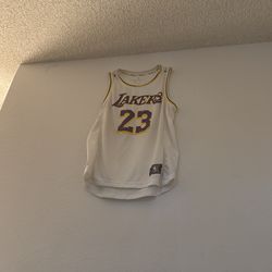 LeBron James 23 jersey