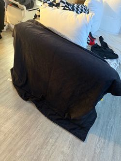 Cats towels and blankets
